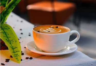 Kahvenin Tarihi: Dünyanın Vazgeçilmez İçeceği